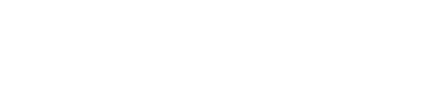 Finest Flights Logo